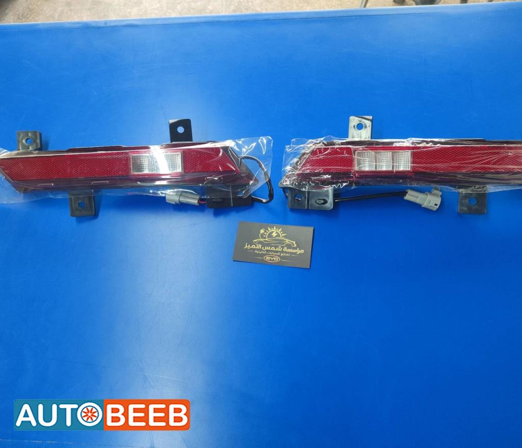 عاكسة طمبون خلفي بي واي دي ديستروير 2024 2025