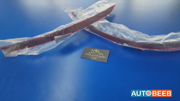 عاكسة طمبون خلفي بي واي دي كين بلس 2023 2024 2025