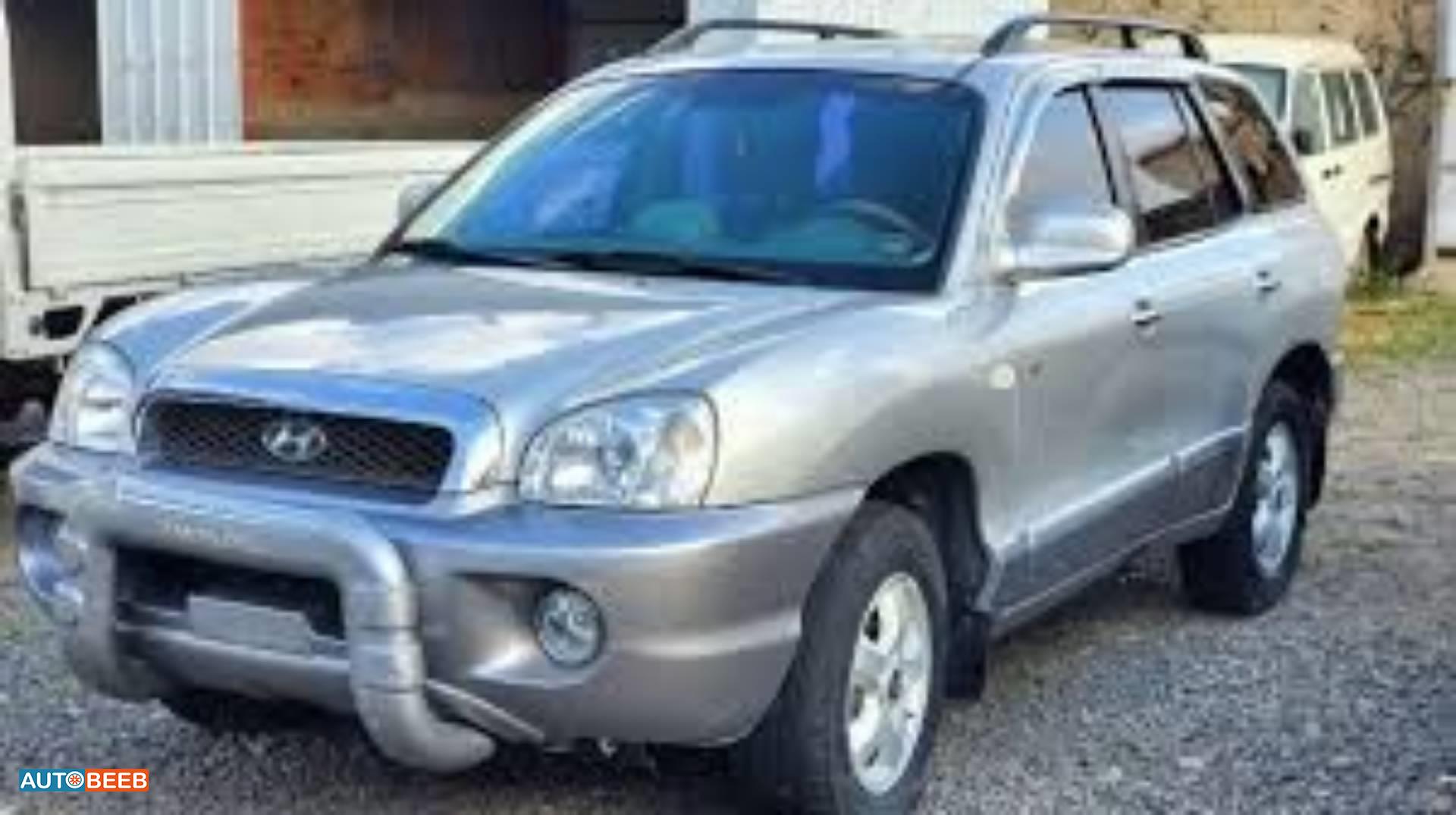 Hyundai Santa Fe 2004