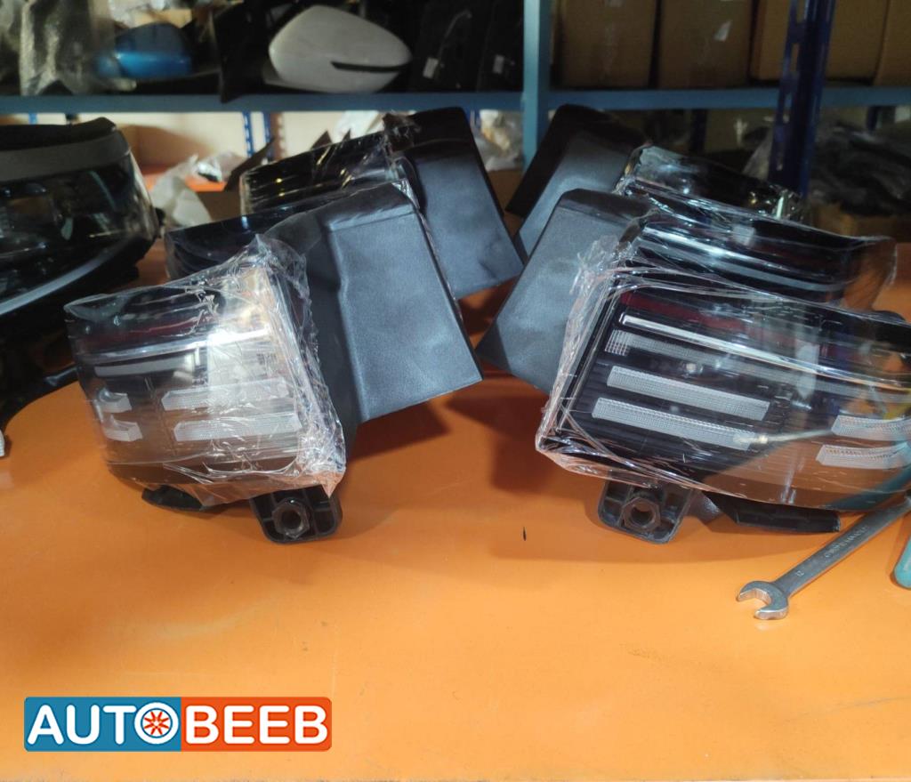 Lights Rear light BYD Destroyer 05
