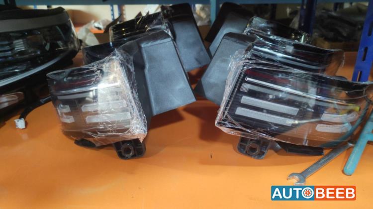 Lights Rear light BYD Destroyer 05