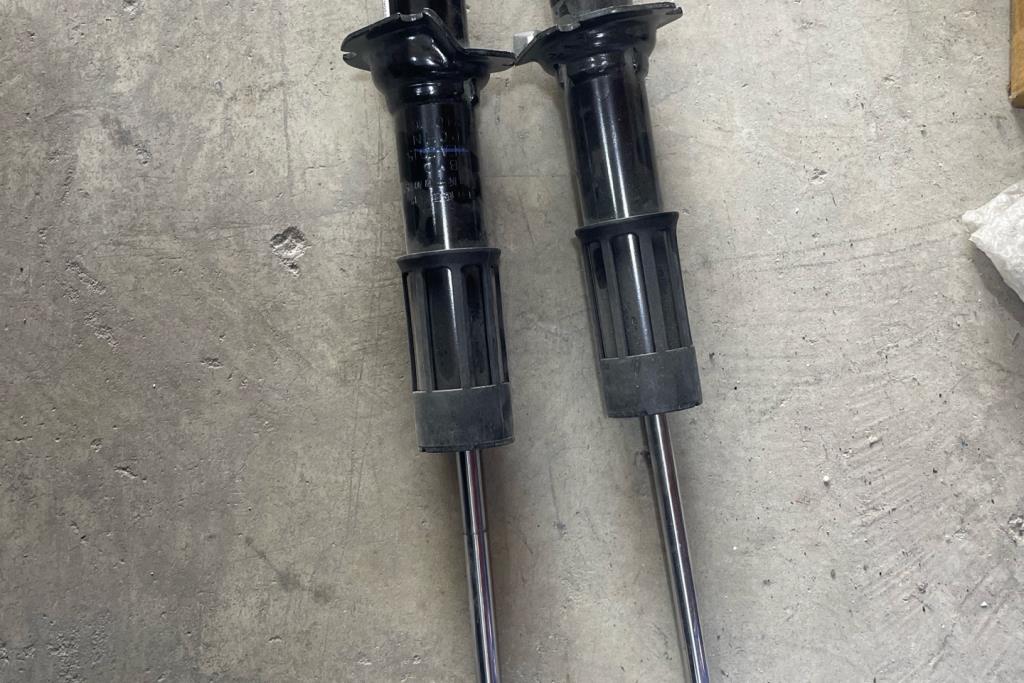 صنوبرص خلفي بي واي دي سيجول 2021 2022 2023 2024