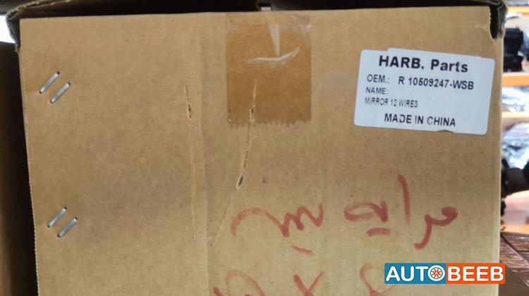 Body  Wing Mirror MG RX8