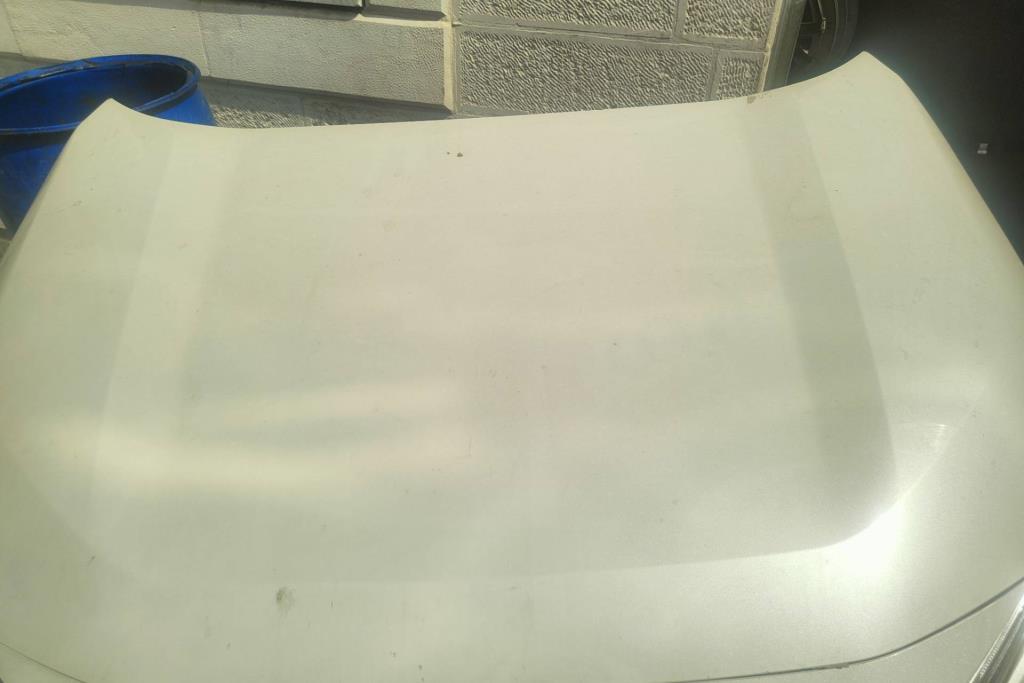 Body  Hood Toyota RAV4