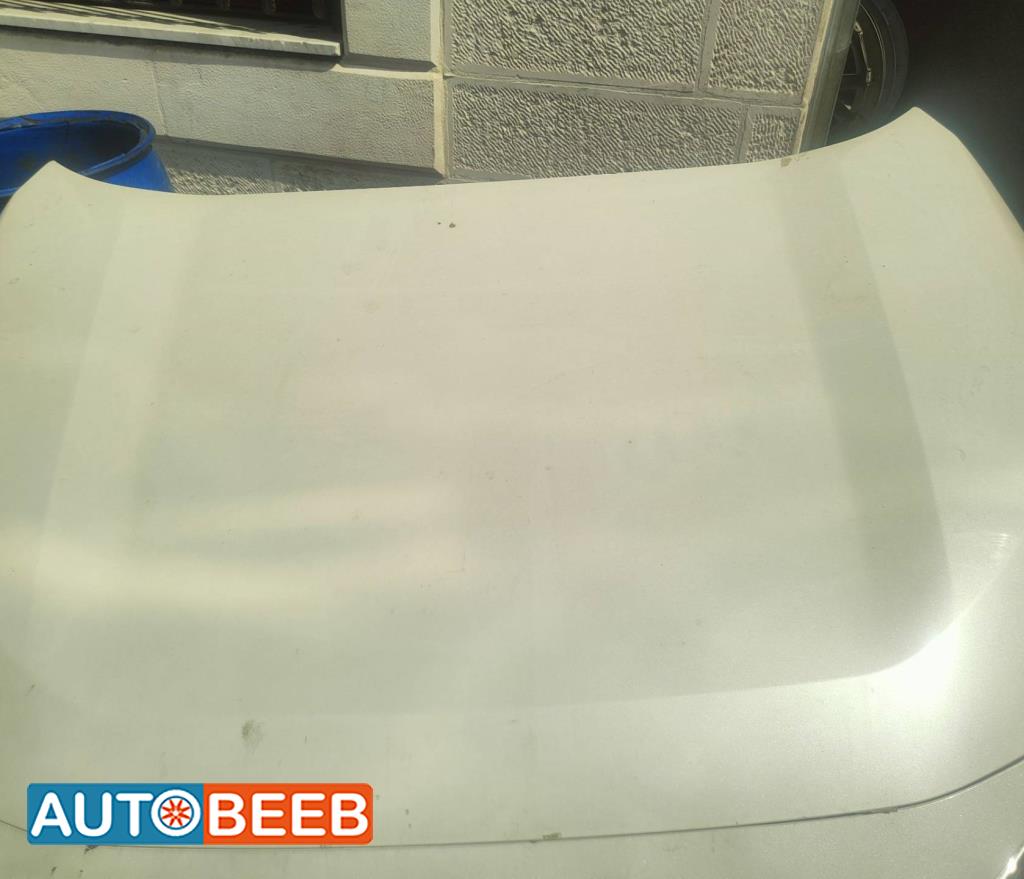 Body  Hood Toyota RAV4
