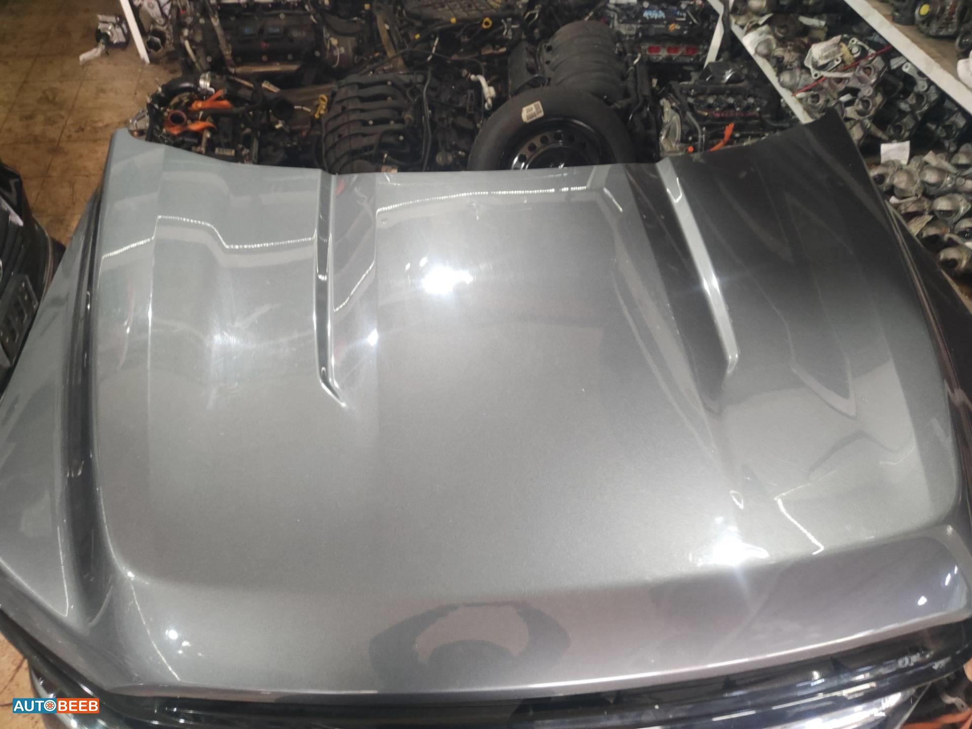 Body  Hood Ford F-150