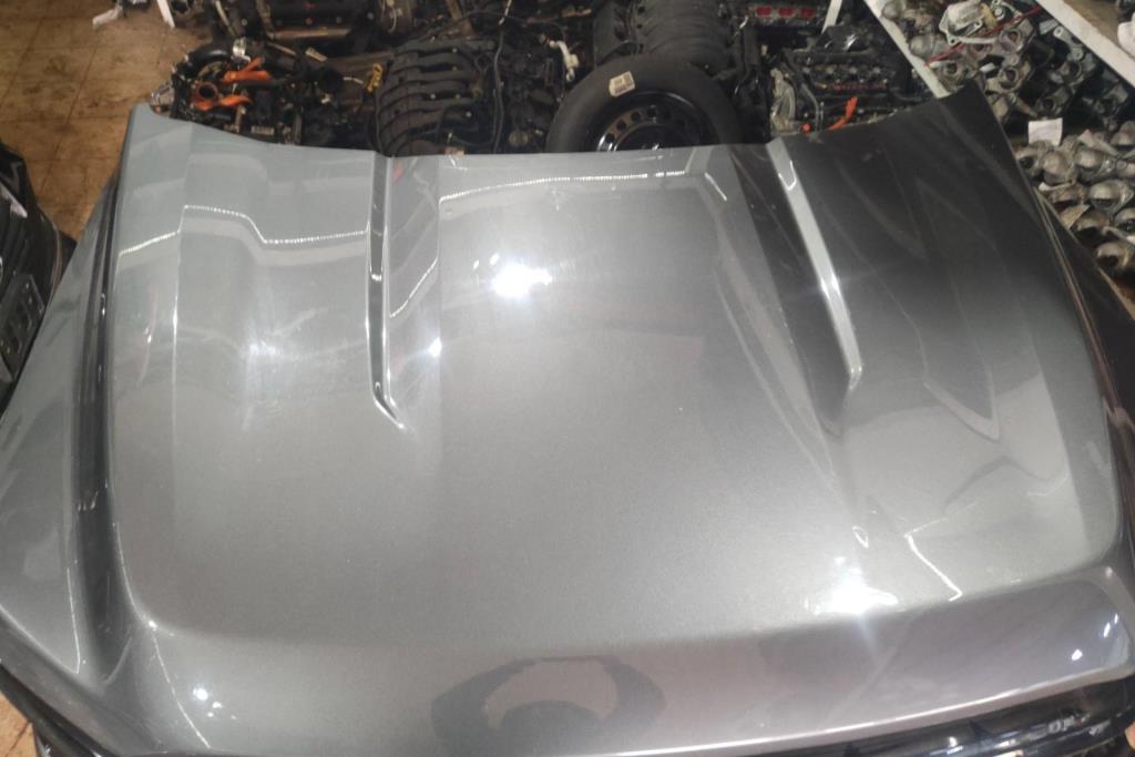 Body  Hood Ford F-150