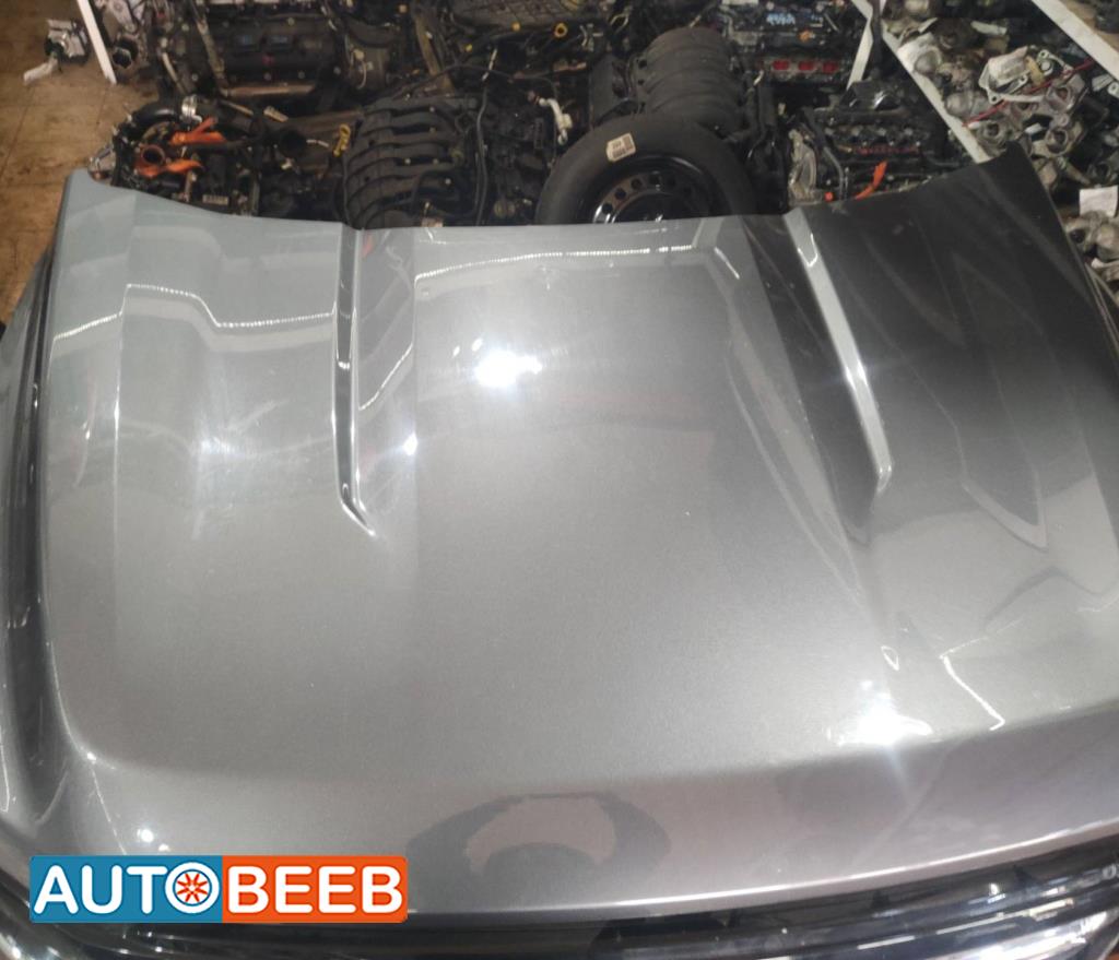 Body  Hood Ford F-150