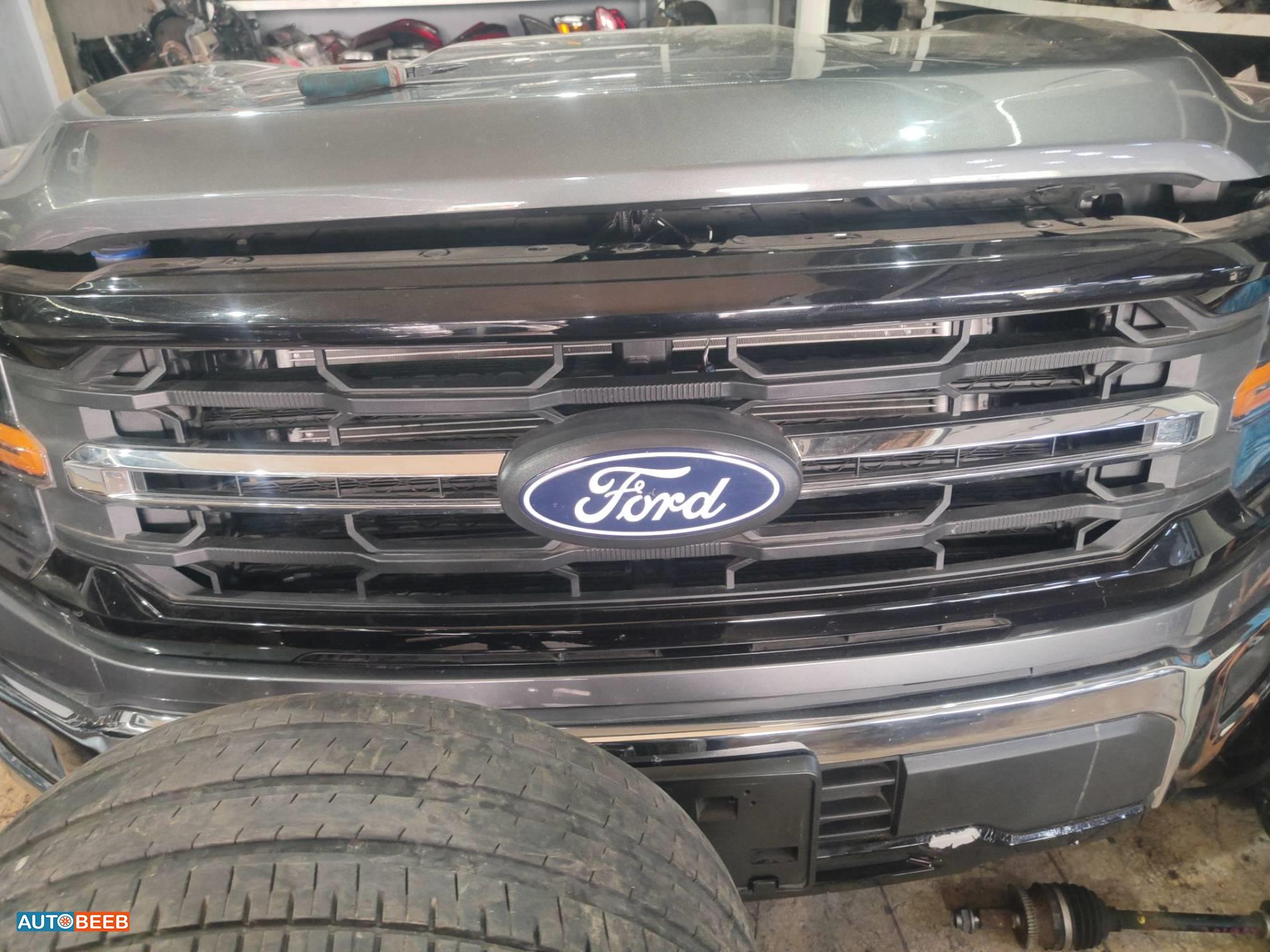 Body  Grilles Ford F-150