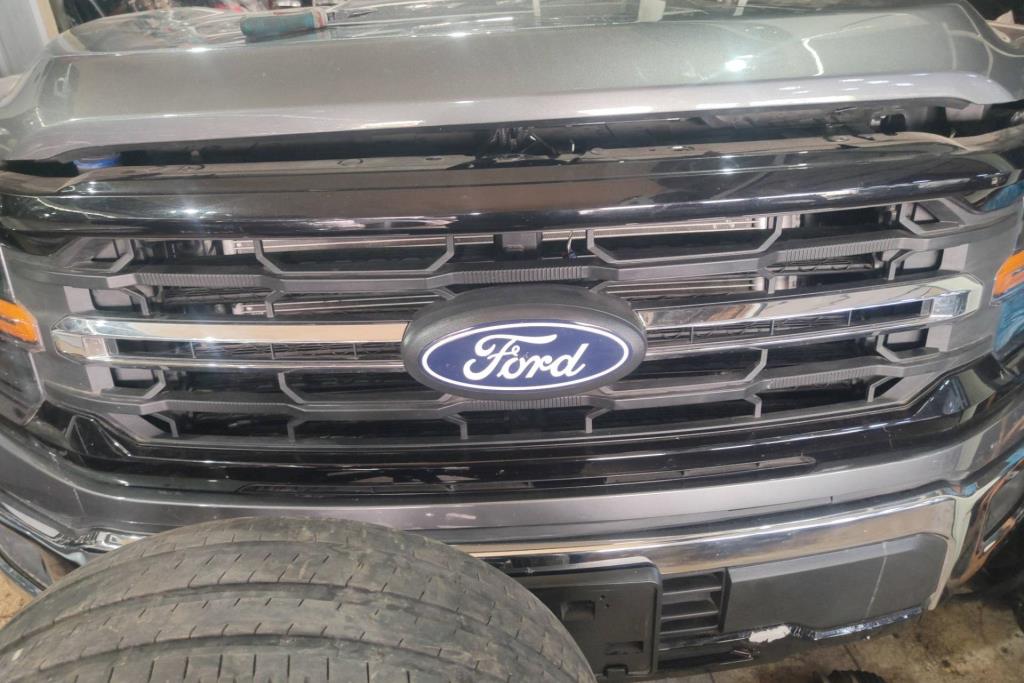 Body  Grilles Ford F-150