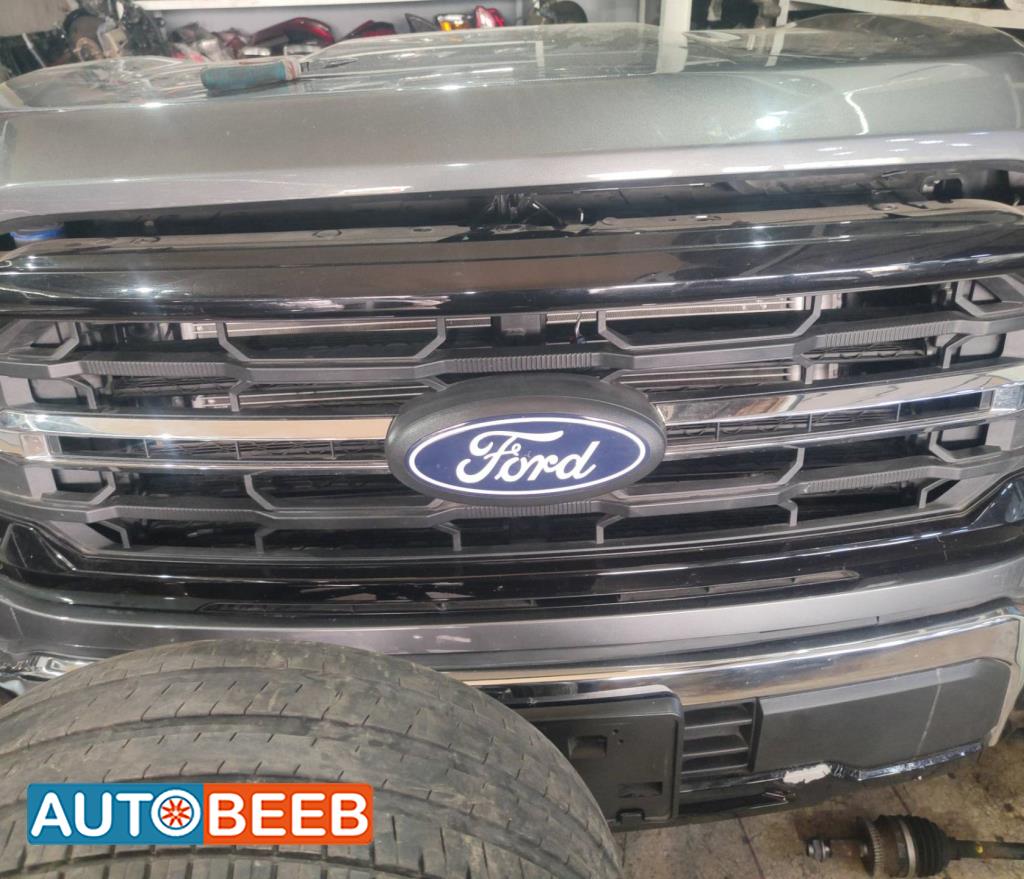 Body  Grilles Ford F-150