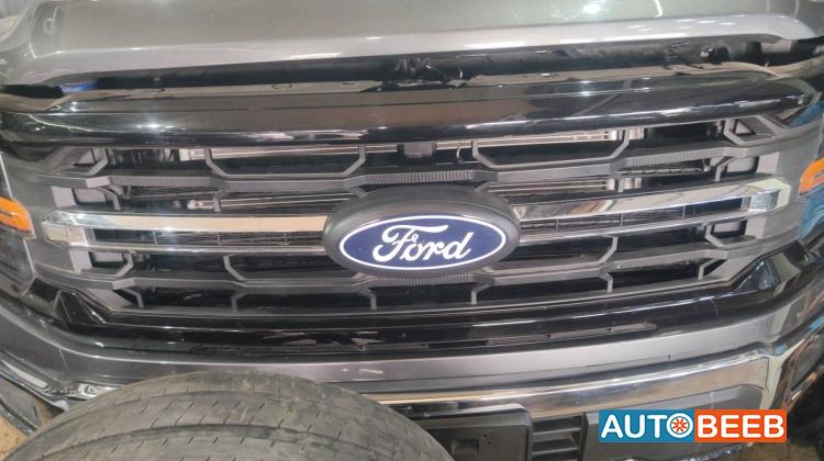Body  Grilles Ford F-150