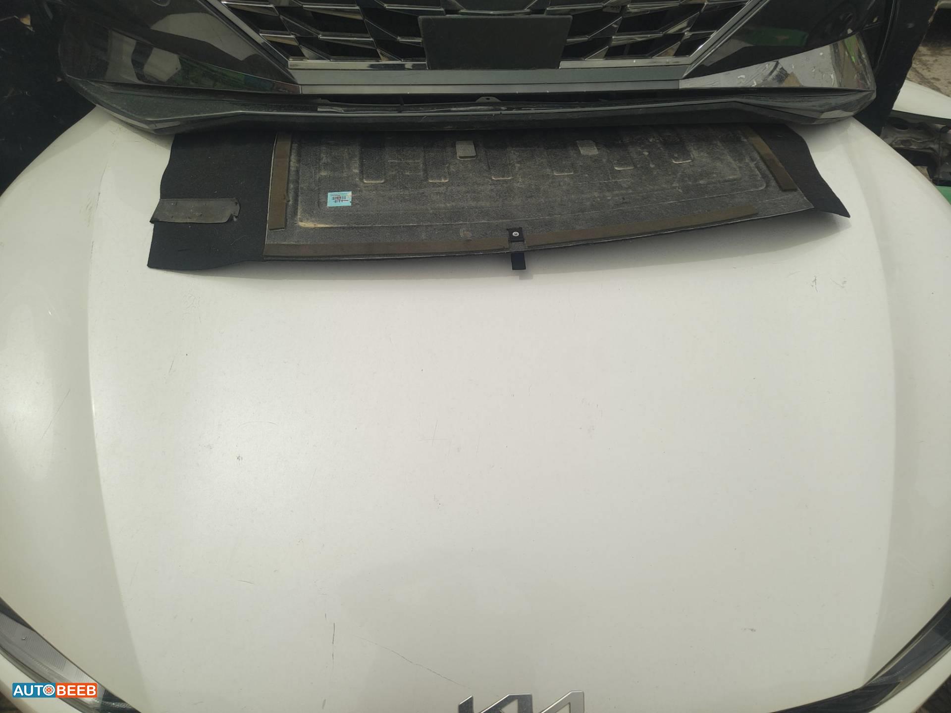 Body  Hood KIA EV6