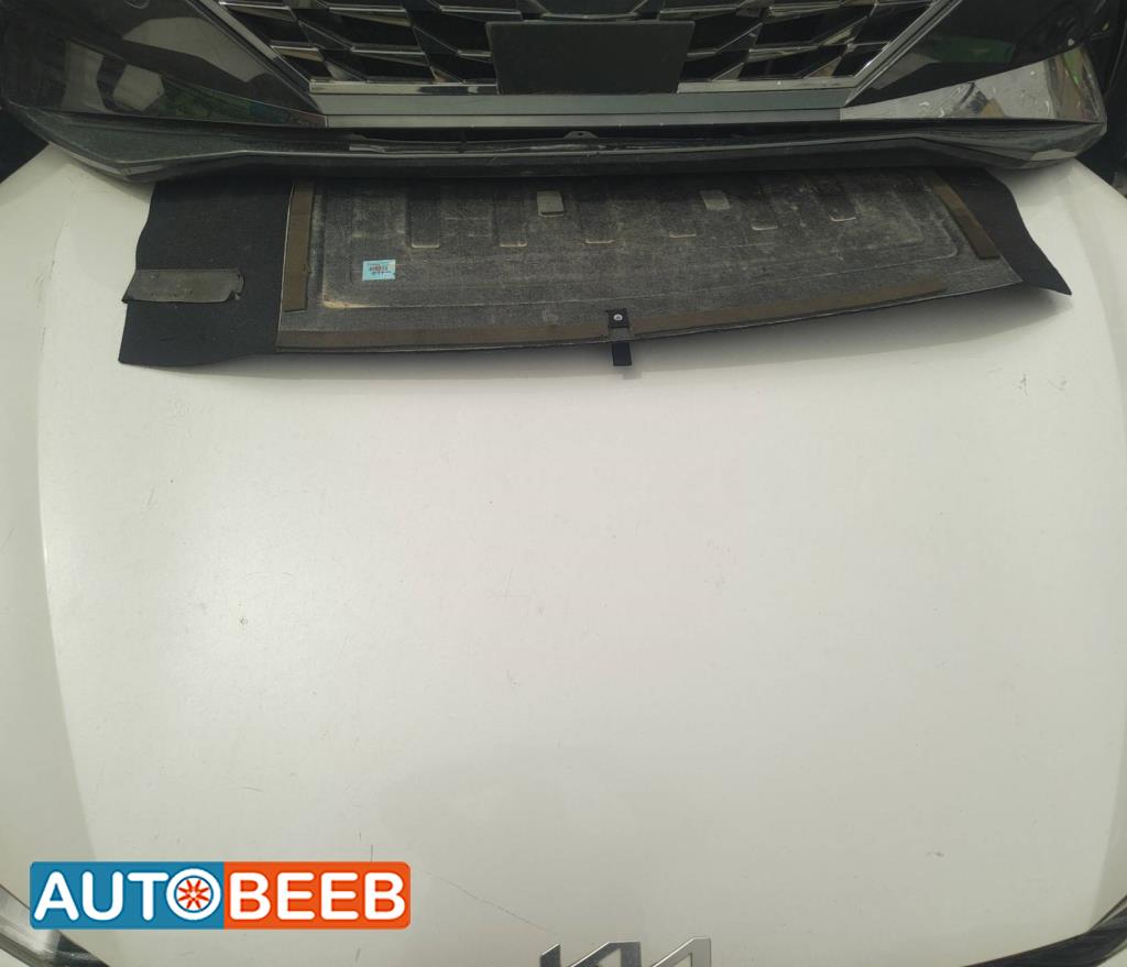 Body  Hood KIA EV6