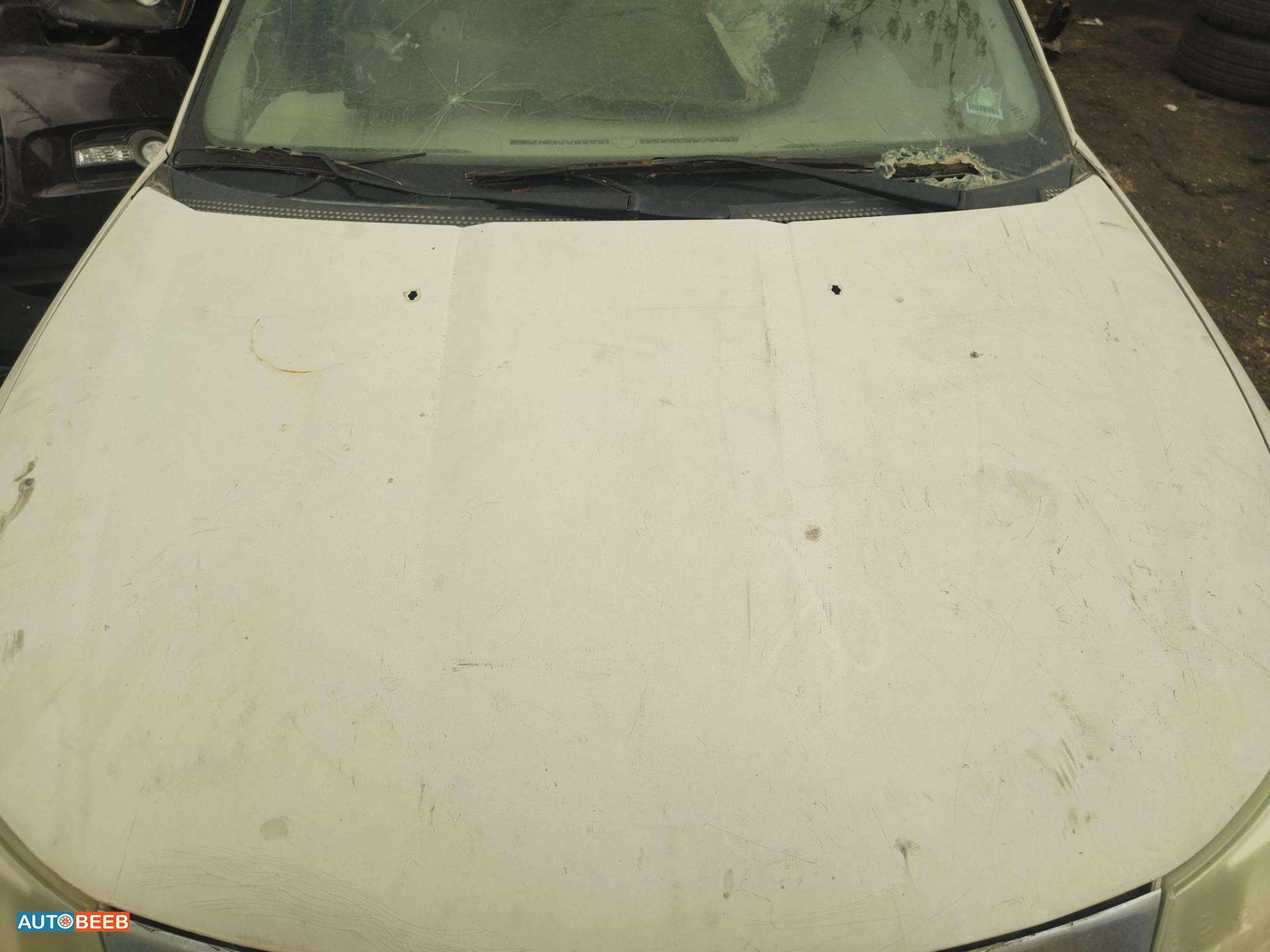 Body  Hood Ford Focus