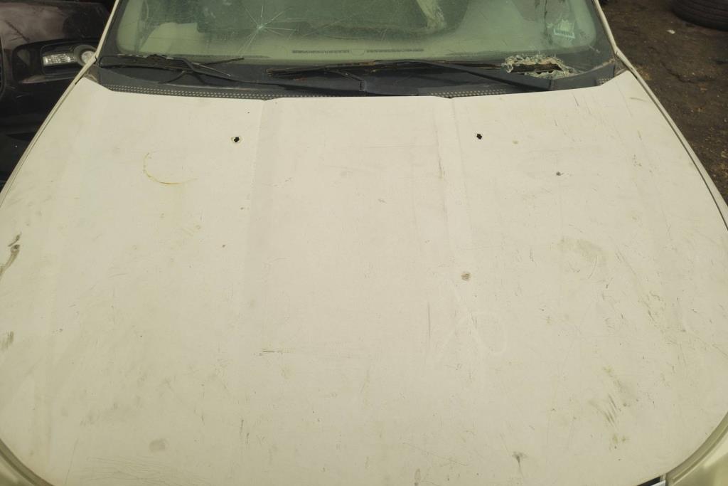 Body  Hood Ford Focus