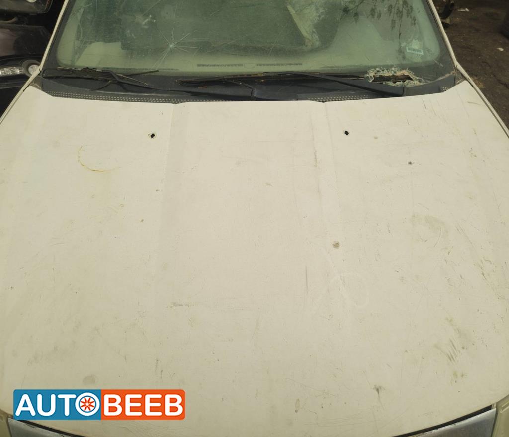 Body  Hood Ford Focus