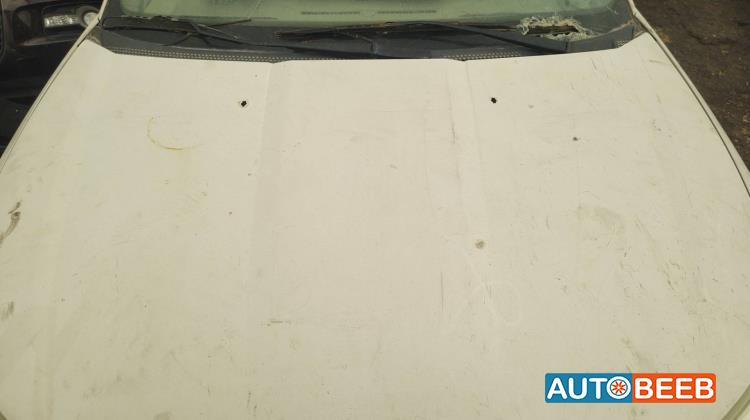 Body  Hood Ford Focus