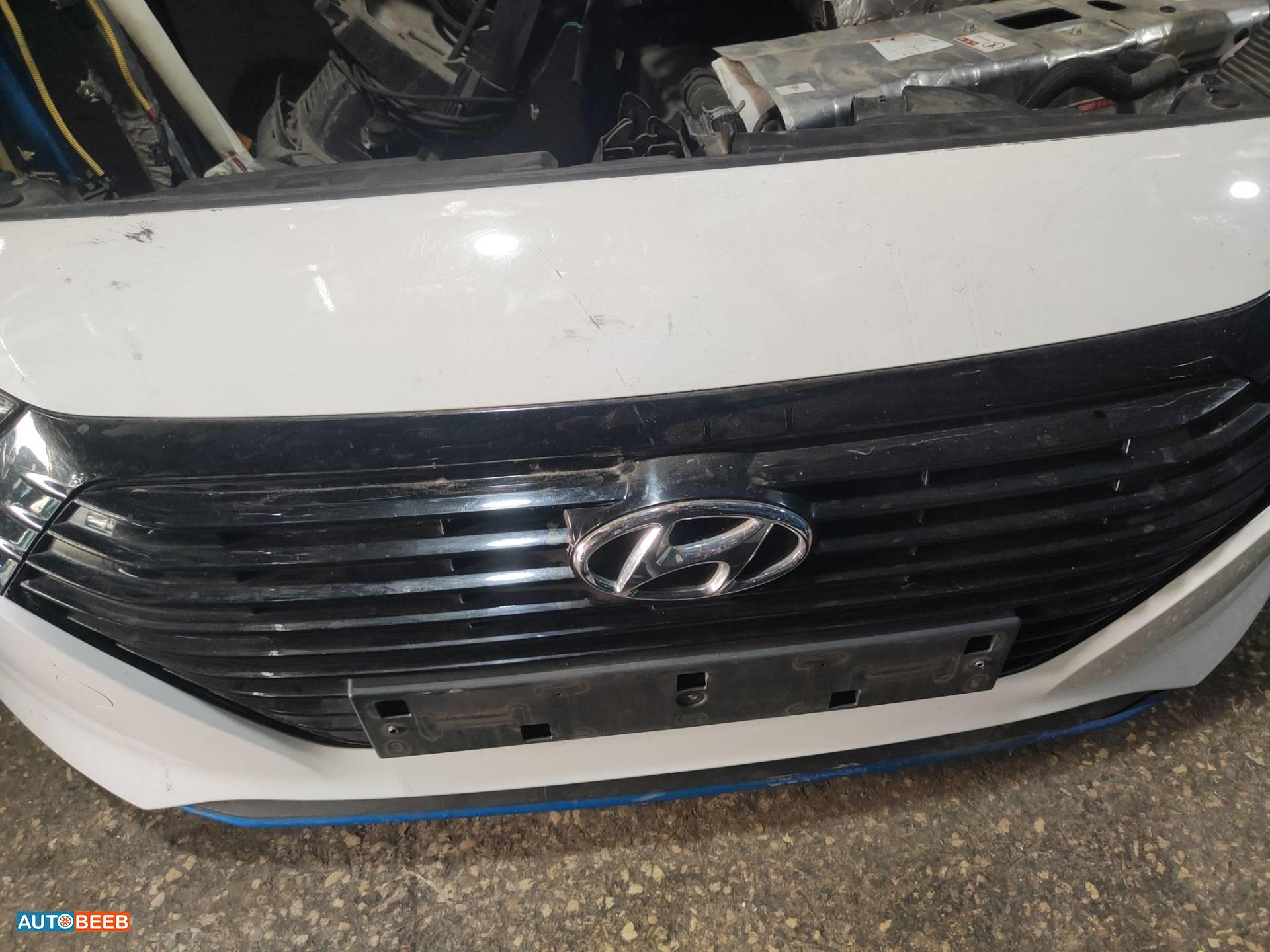 Body  Grilles Hyundai Ioniq