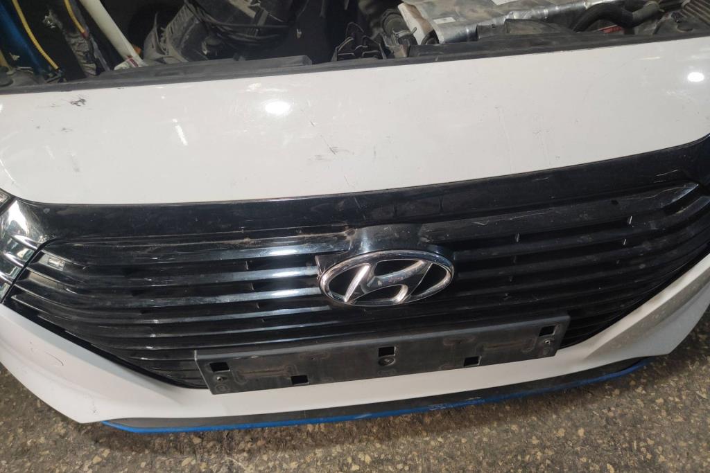Body  Grilles Hyundai Ioniq