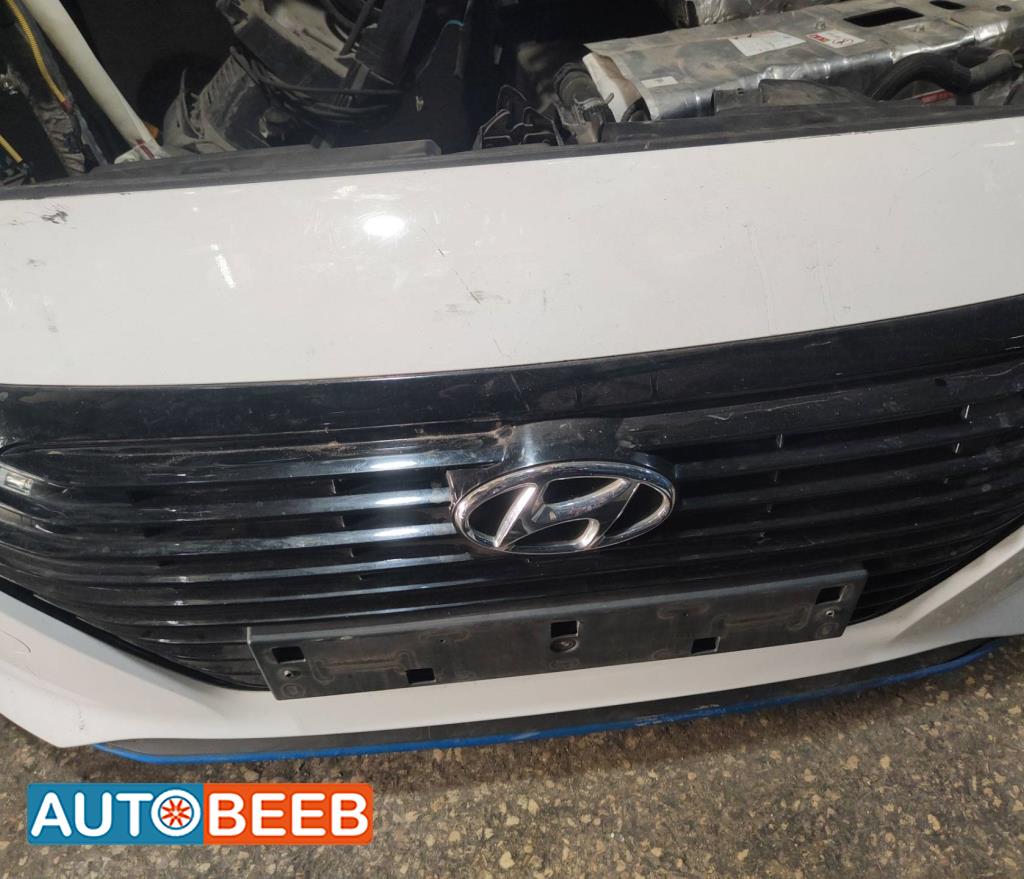 Body  Grilles Hyundai Ioniq