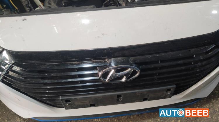 Body  Grilles Hyundai Ioniq