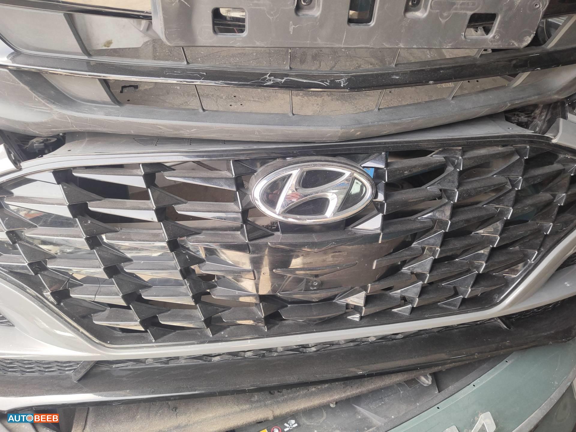 Body  Grilles Hyundai Sonata