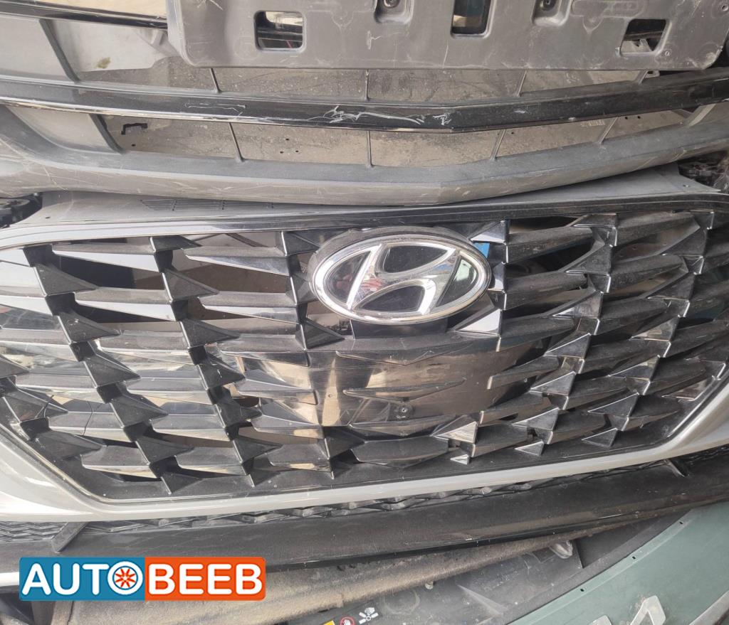 Body  Grilles Hyundai Sonata