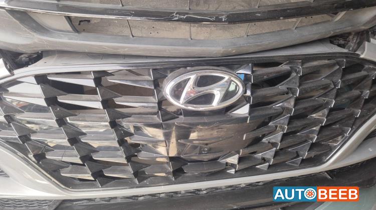 Body  Grilles Hyundai Sonata