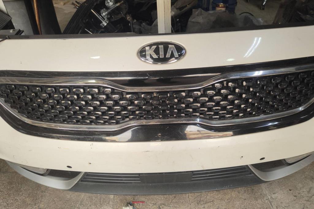 Body  Grilles KIA Niro