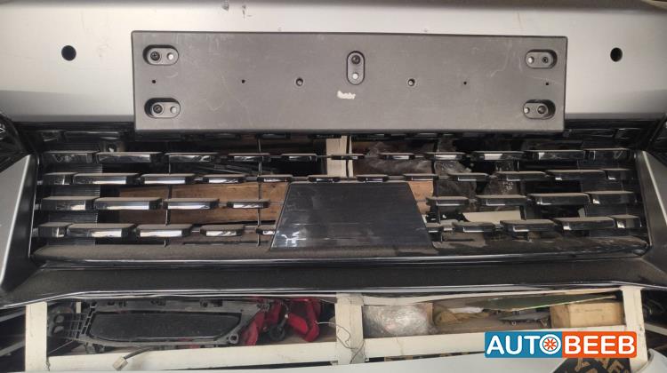 Body  Grilles KIA EV6