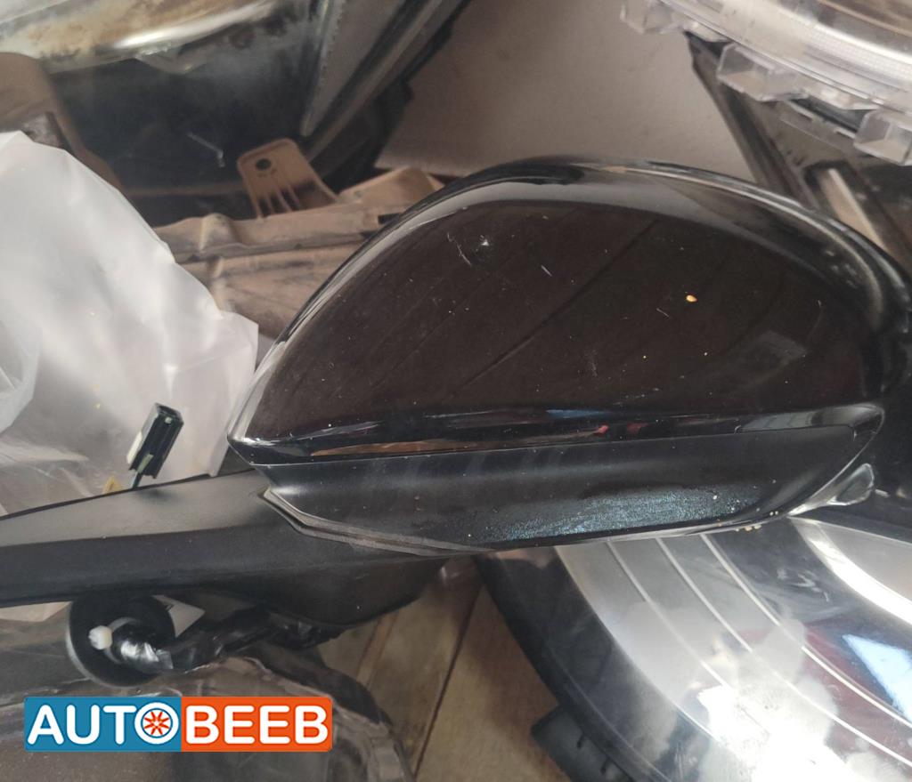 Body  Wing Mirror BYD Dolphin