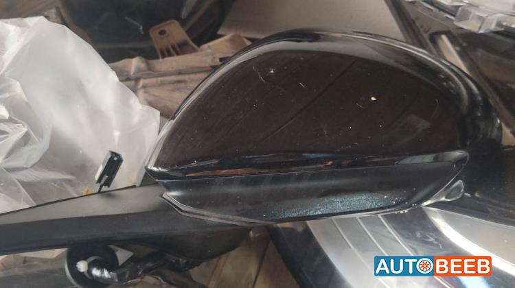 Body  Wing Mirror BYD Dolphin