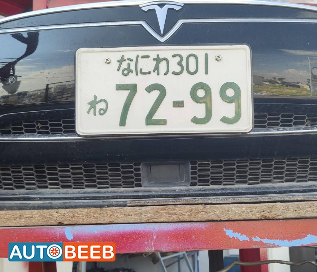 Body  Grilles Tesla S