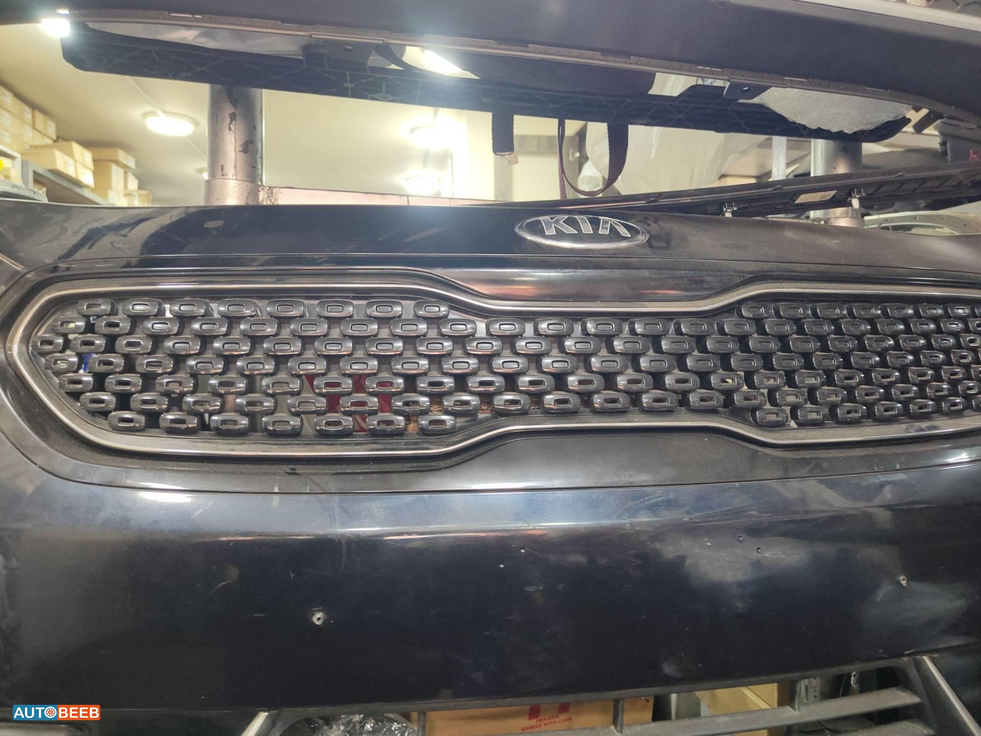 Body  Grilles KIA Niro
