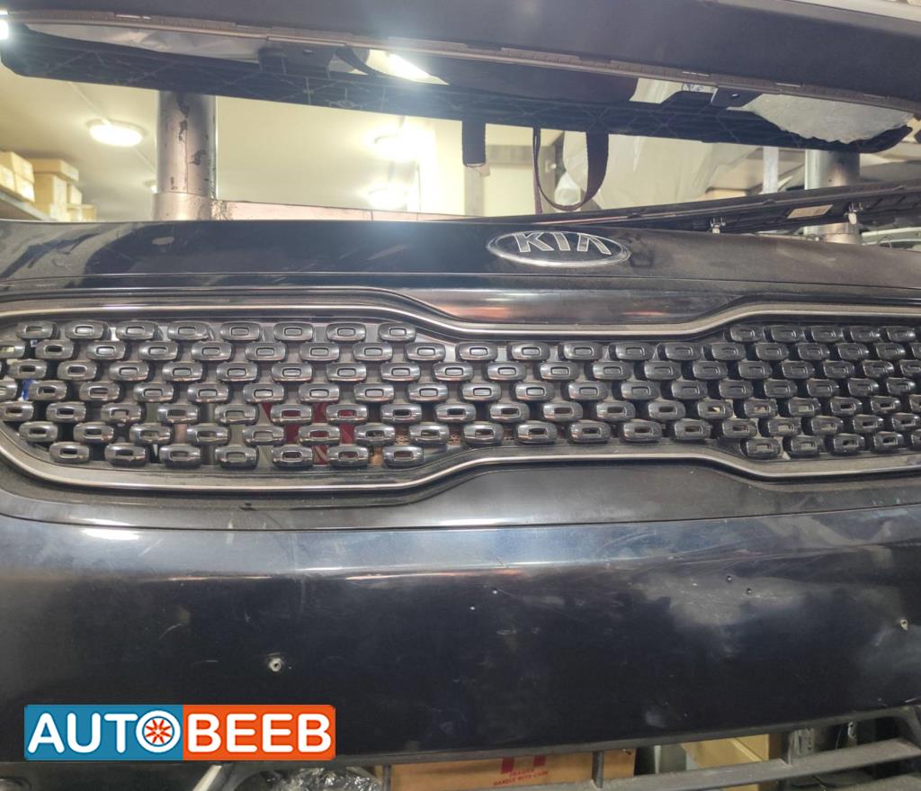 Body  Grilles KIA Niro