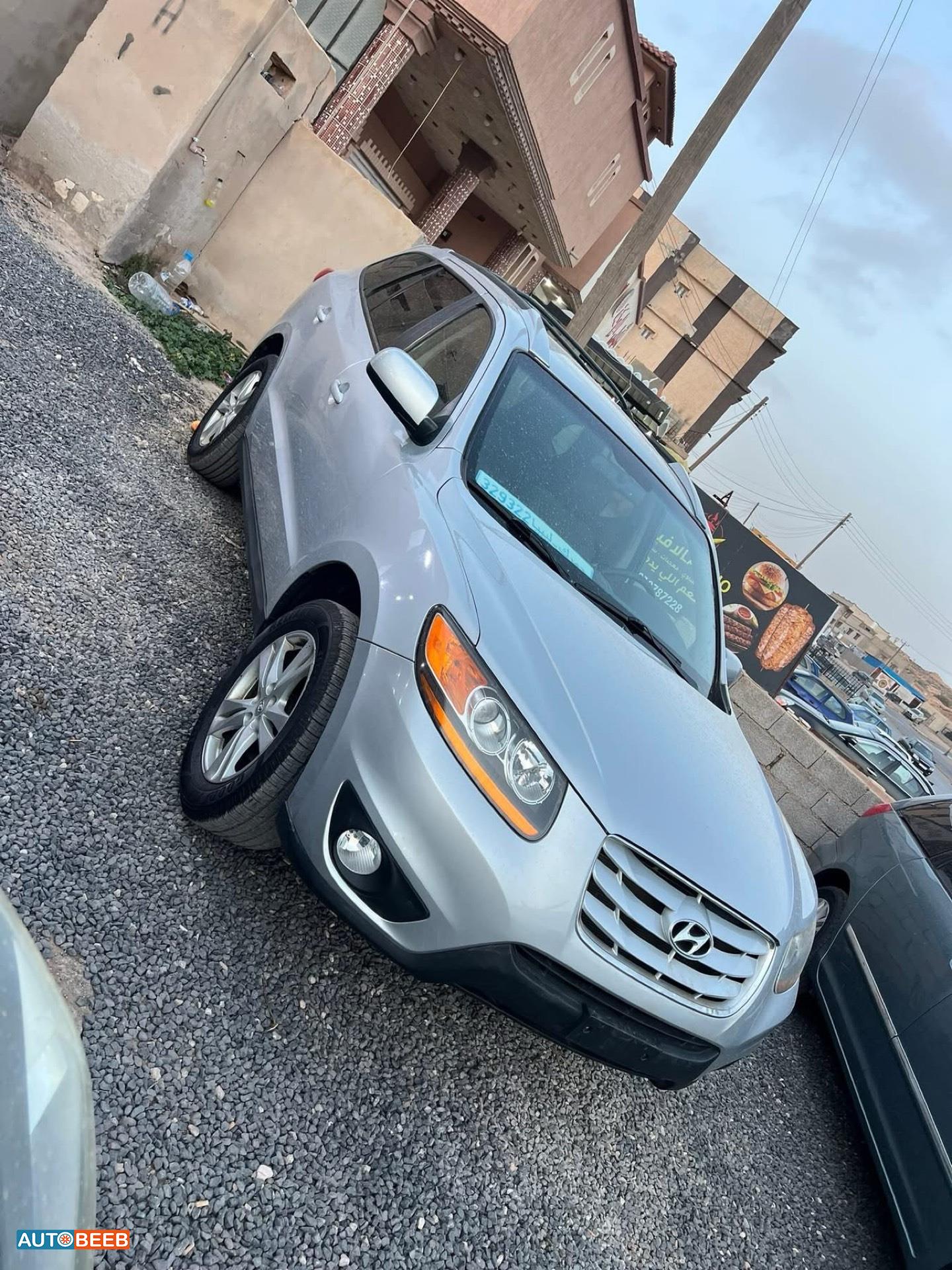 Hyundai Santa Fe 2010