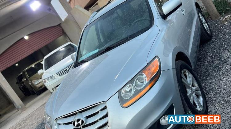 Hyundai Santa Fe 2010