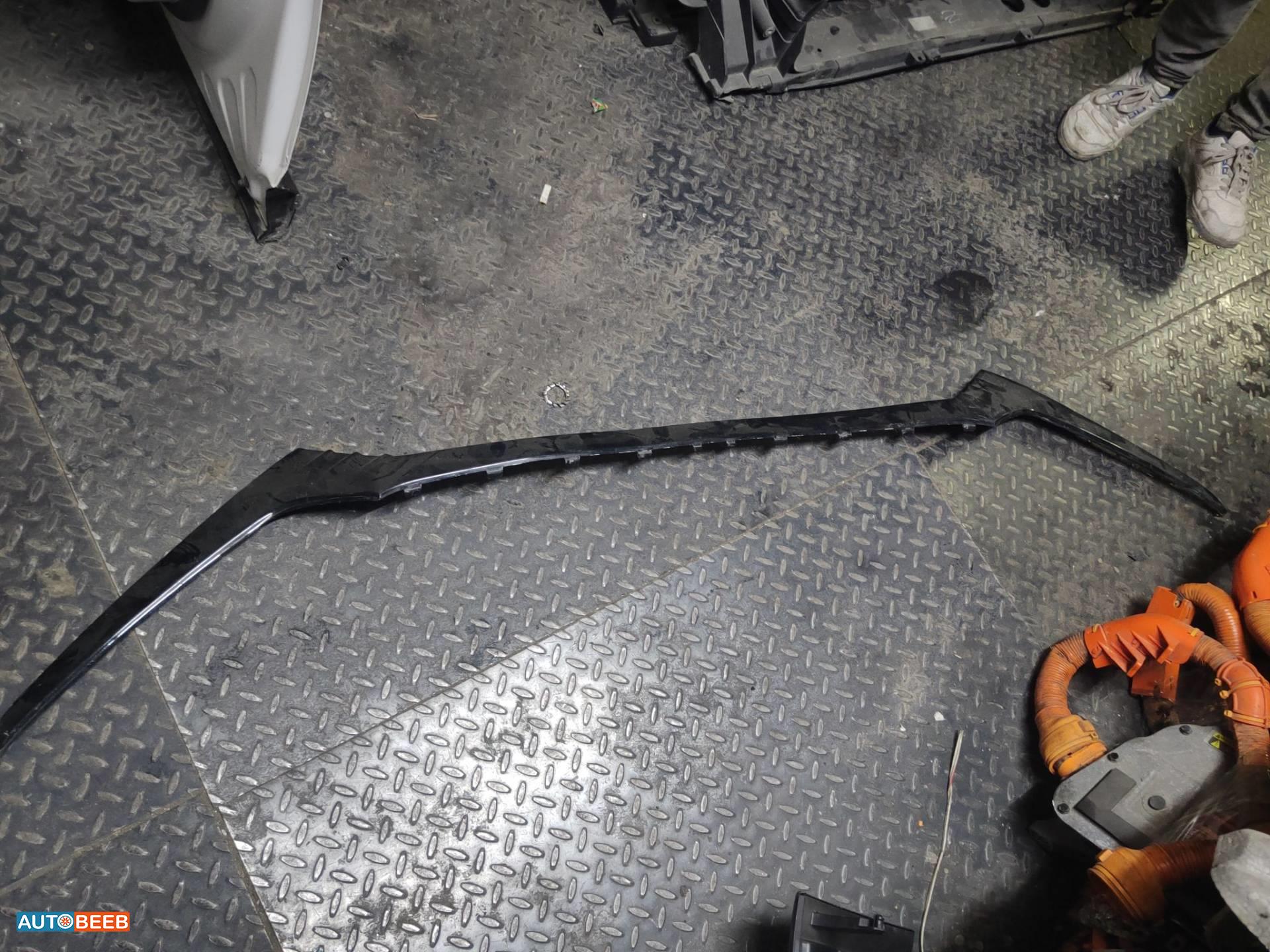 Body  Grilles Hyundai Ioniq