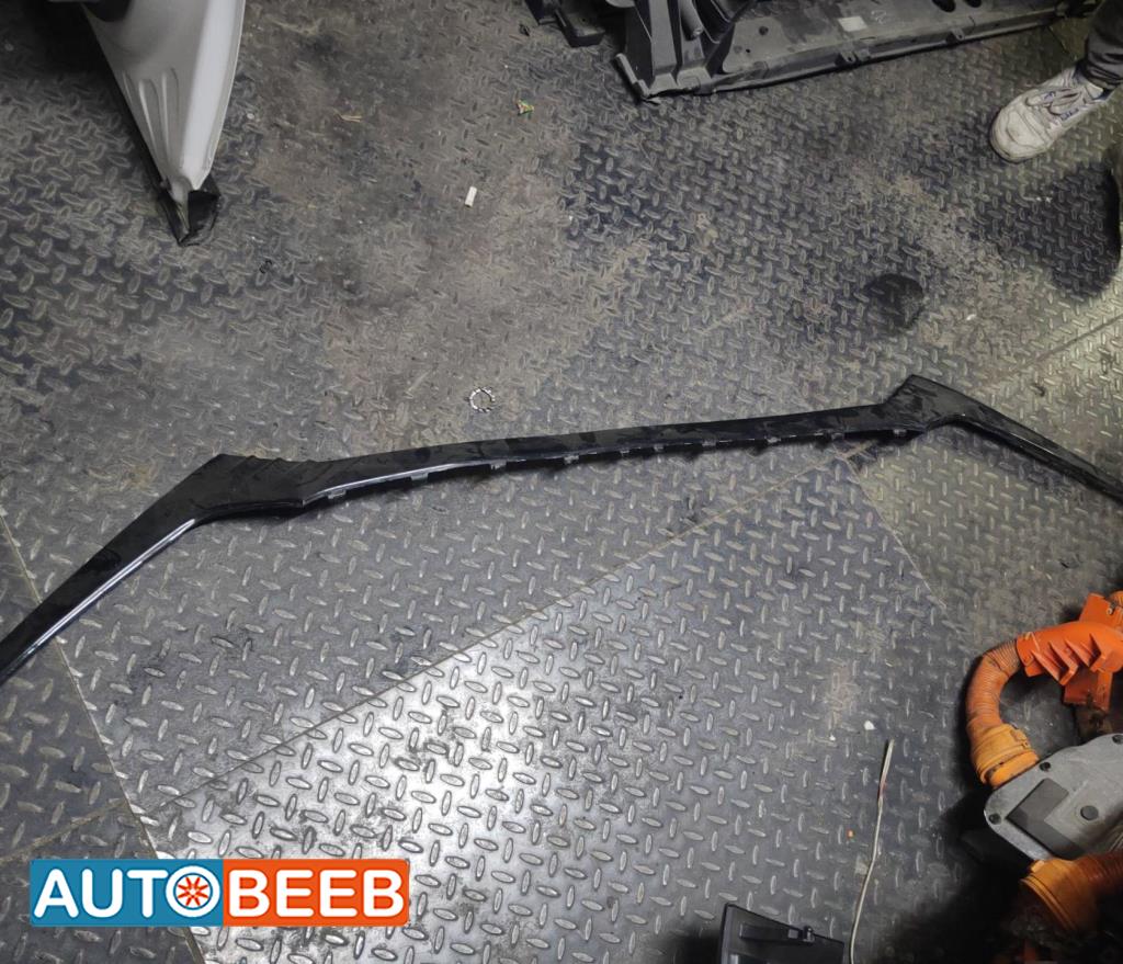 Body  Grilles Hyundai Ioniq