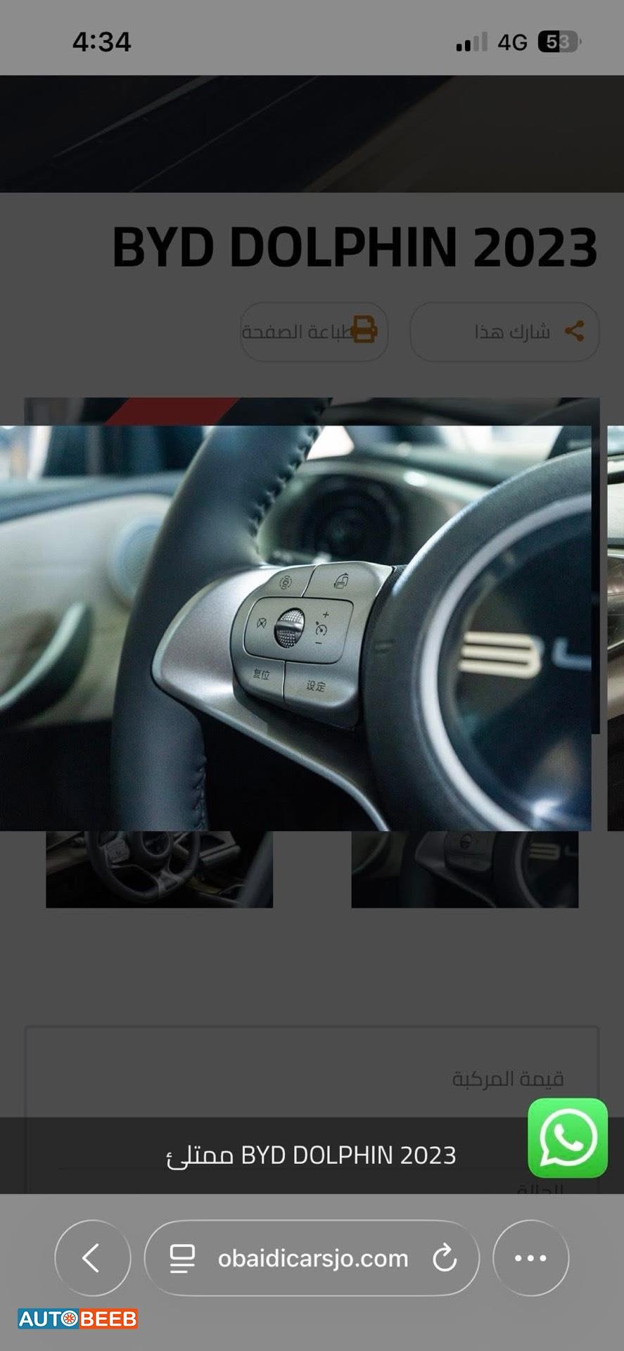 بي واي دي دولفين 2022