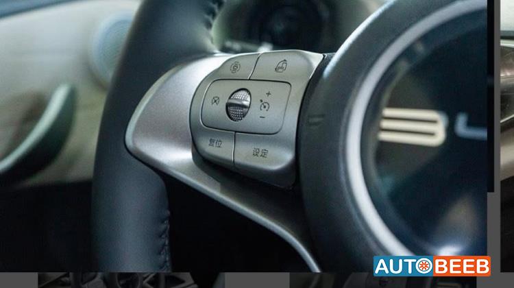 بي واي دي دولفين 2022