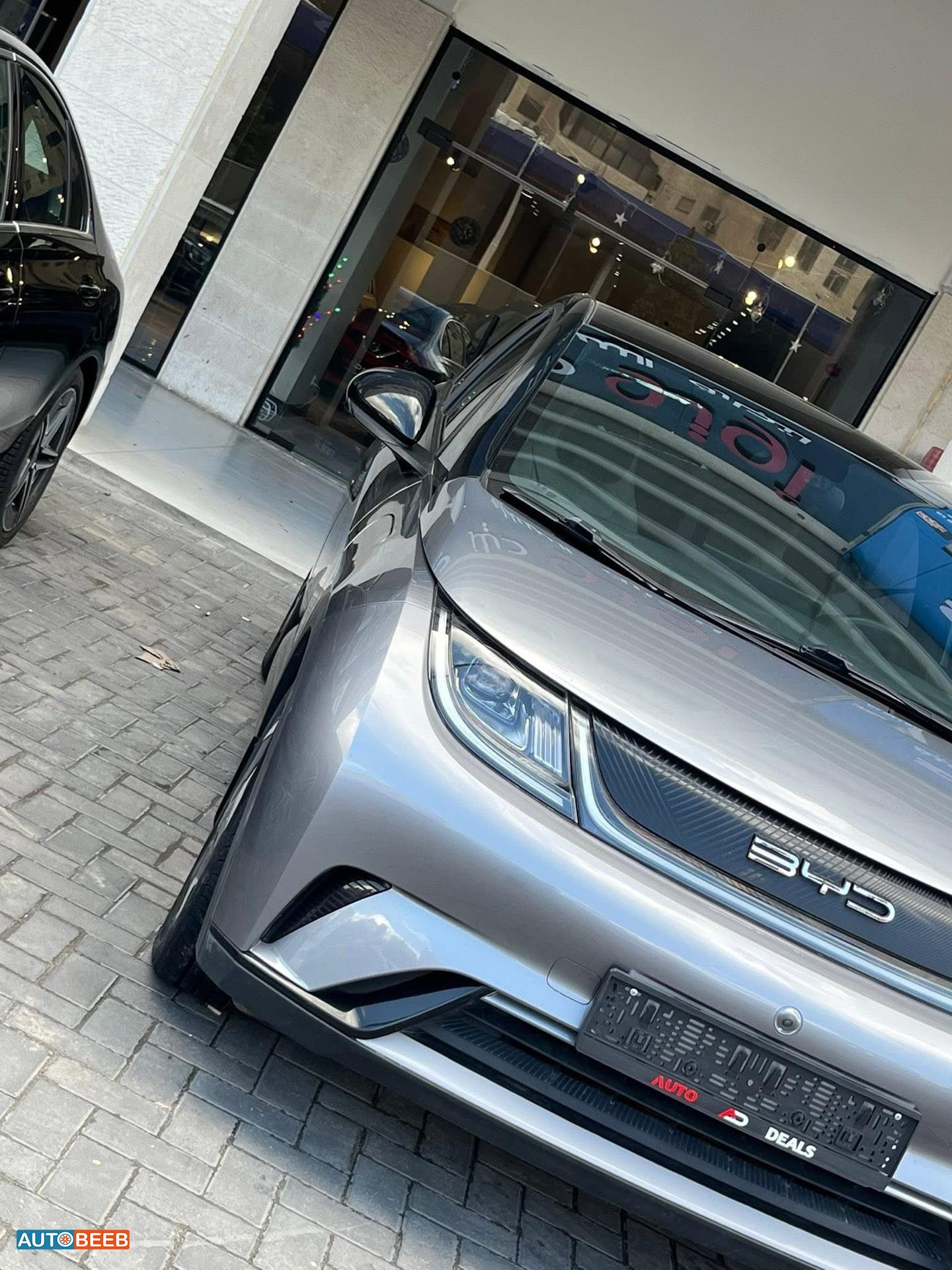 بي واي دي دولفين 2022