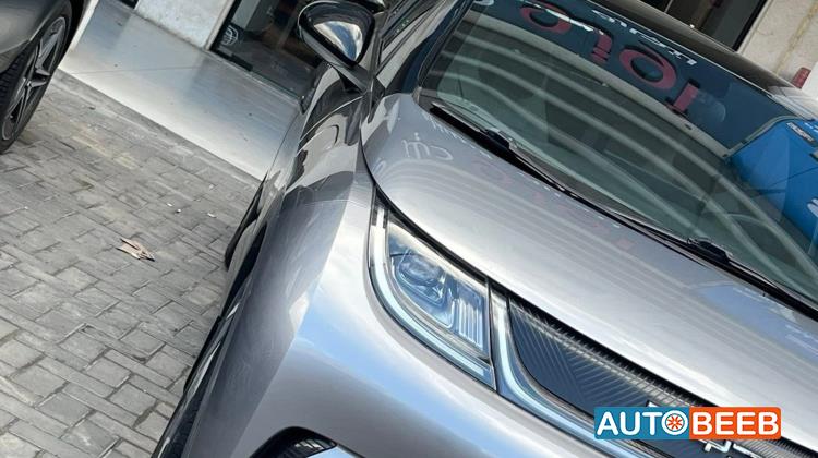 بي واي دي دولفين 2022