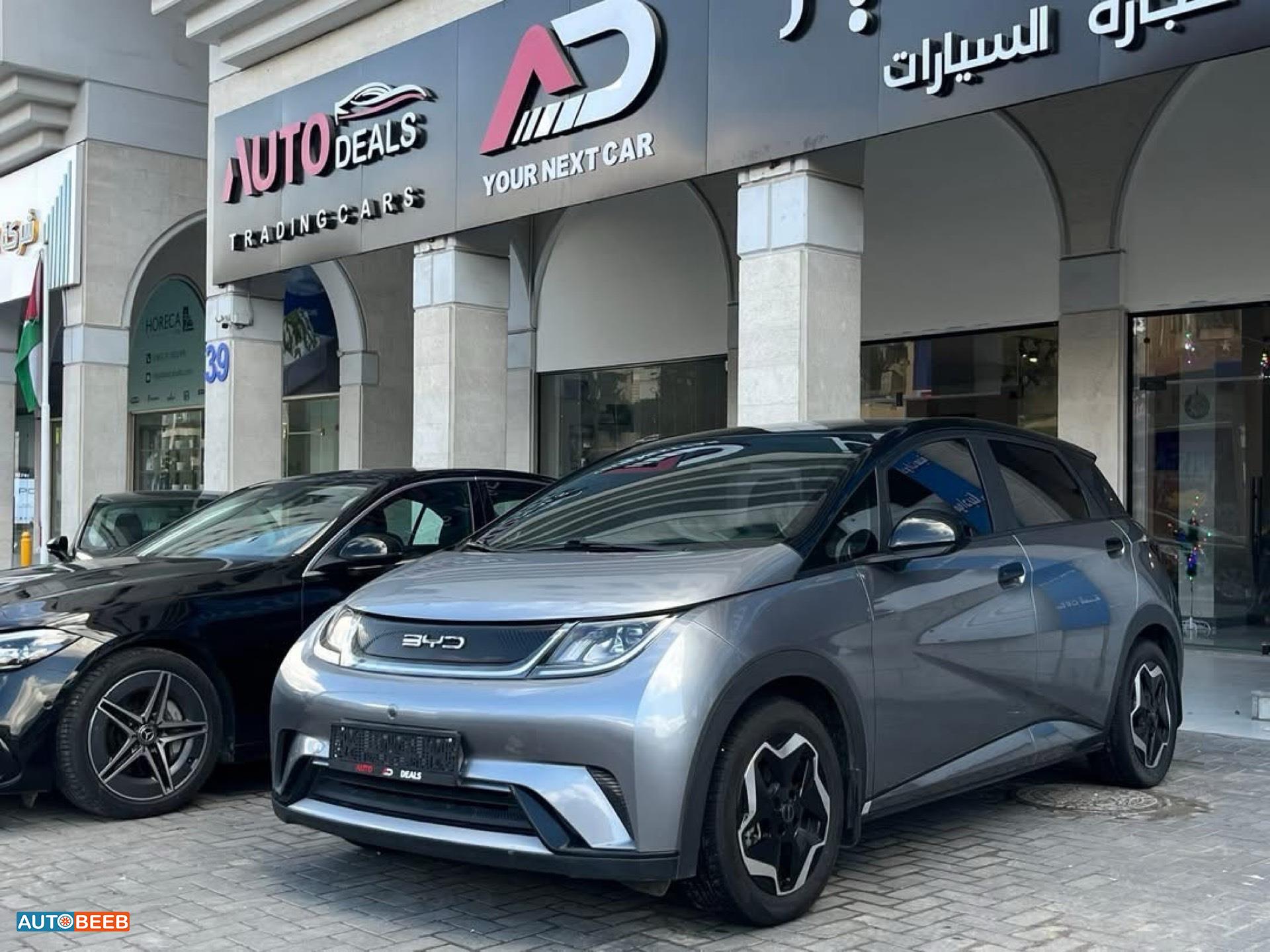 بي واي دي دولفين 2022