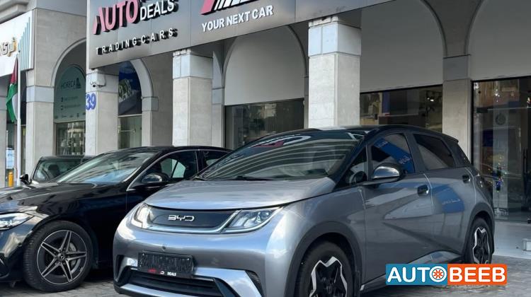 بي واي دي دولفين 2022