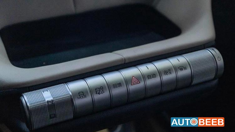 بي واي دي دولفين 2022