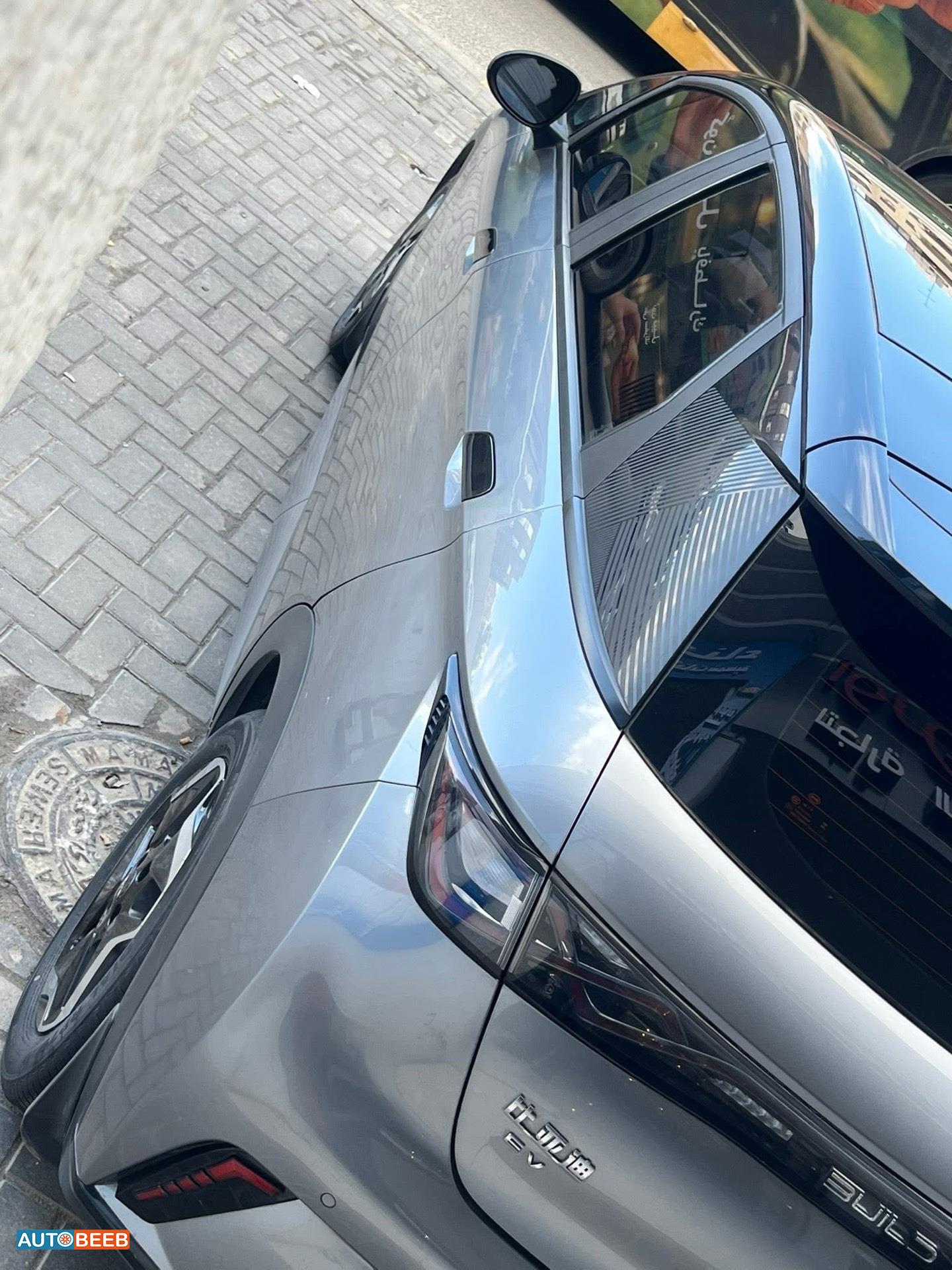 بي واي دي دولفين 2022