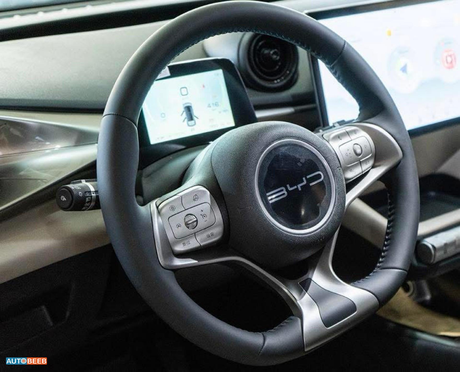 بي واي دي دولفين 2022