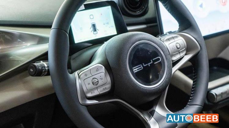 بي واي دي دولفين 2022